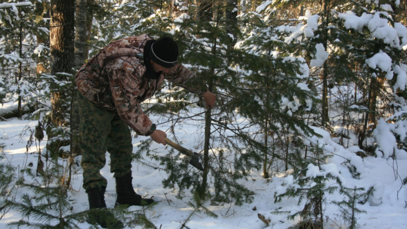 11 фактов незаконной рубки леса выявили патрули лесоохраны в Хабаровском крае