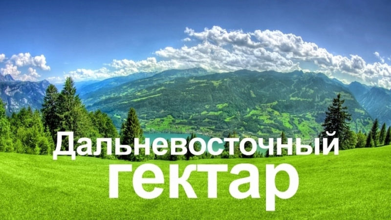 Собственниками «дальневосточных гектаров» в Хабаровском крае стали почти 2 тысячи человек