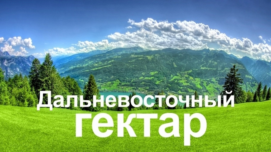 Собственниками «дальневосточных гектаров» в Хабаровском крае стали почти 2 тысячи человек