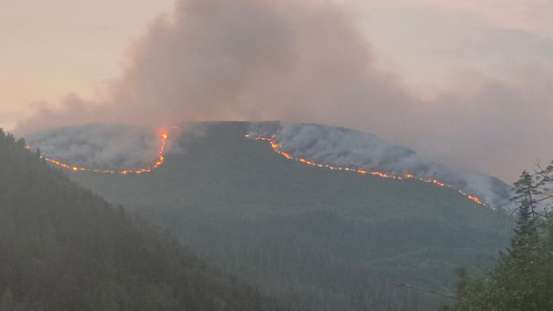 За сутки в крае потушили 19 лесных пожаров
