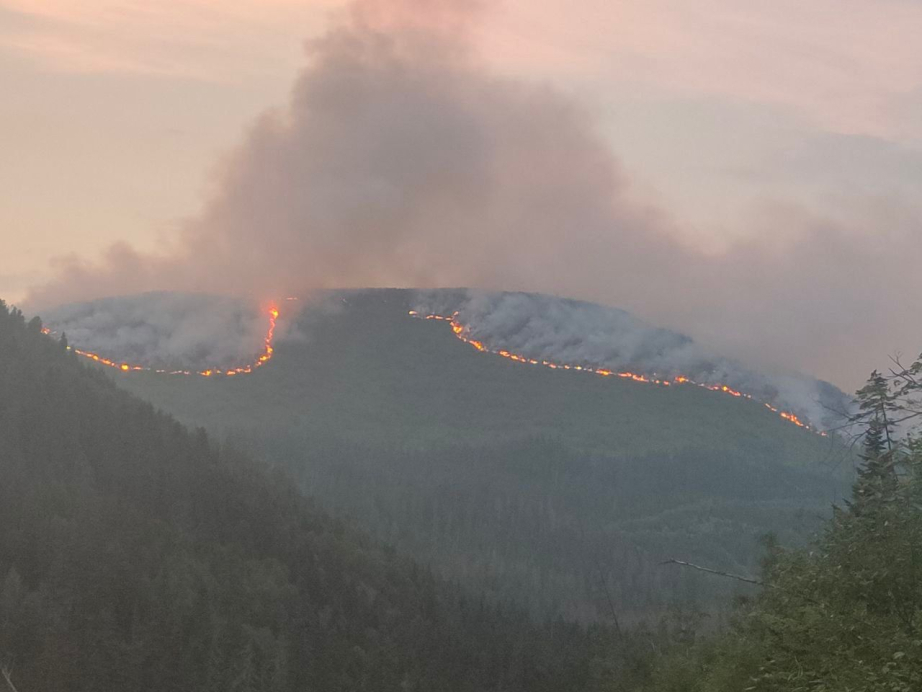 За сутки в крае потушили 19 лесных пожаров