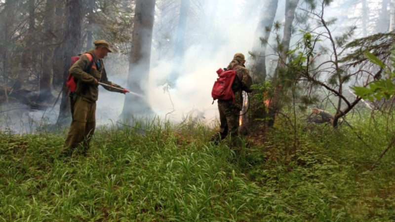 Сложный лесной пожар ликвидировала лесная охрана в Хабаровском крае