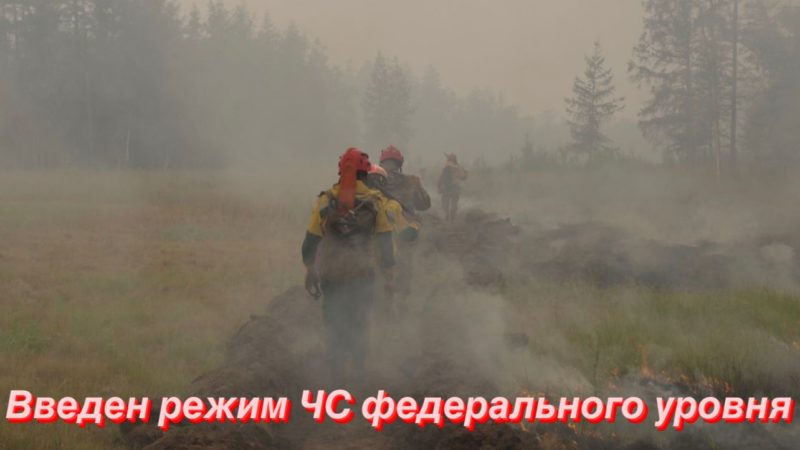 Режим ЧС федерального уровня введен в Хабаровском крае из-за лесных пожаров