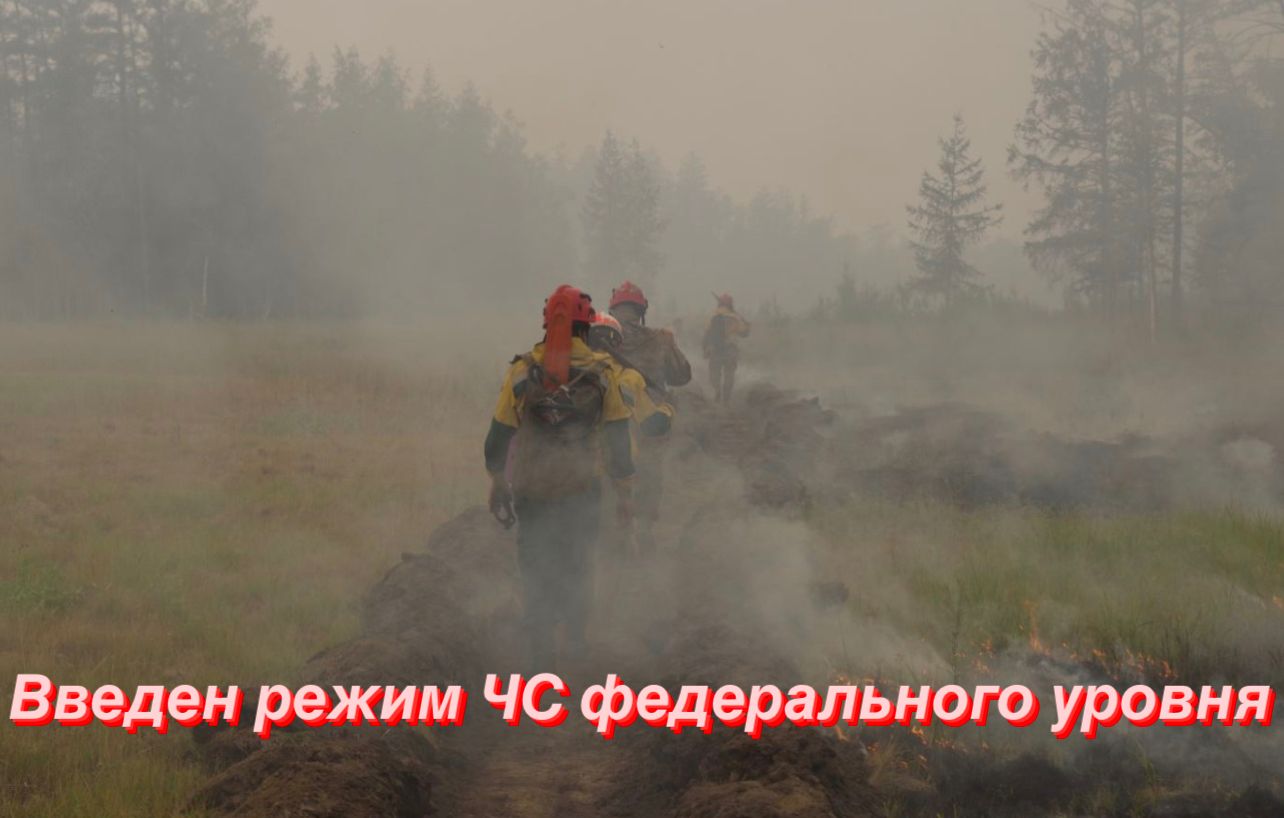 Режим ЧС федерального уровня введен в Хабаровском крае из-за лесных пожаров