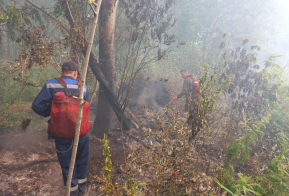 Четырнадцать лесных пожаров ликвидировано в крае за выходные