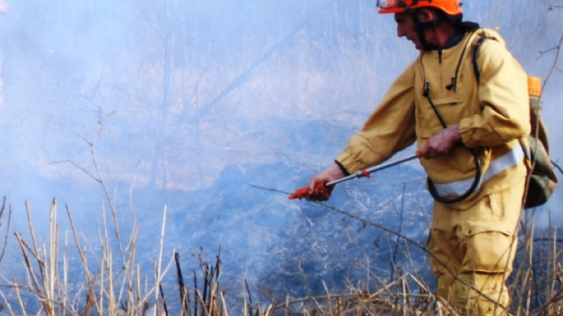 После выходных в Хабаровском крае ликвидировали два лесных пожара