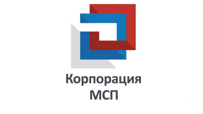 Корпорация МСП приглашает бизнес Хабаровского края на онлайн-практикум