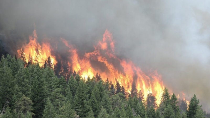 Лесные пожары тушат сегодня на севере Хабаровского края