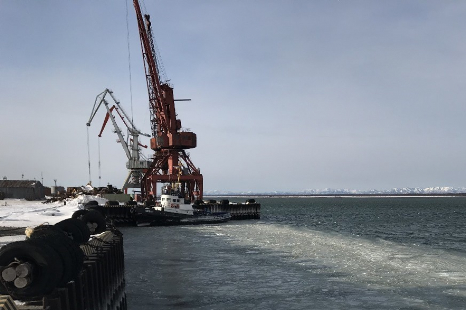 Модернизацией Николаевского морского торгового порта займется новый резидент ТОР «Хабаровск»